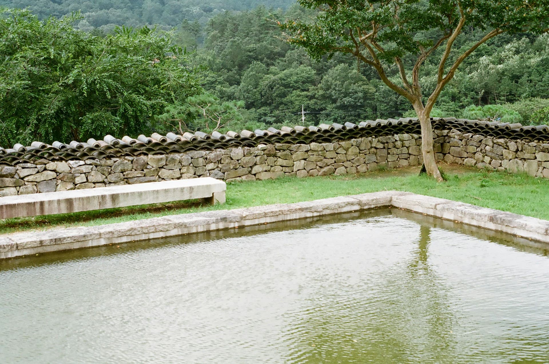 자연석 & 수공간
