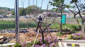 아파트 조경공사 시공 현장