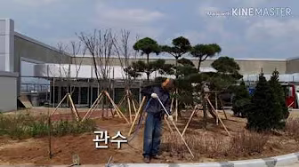 인천 조경공사 시공 영상